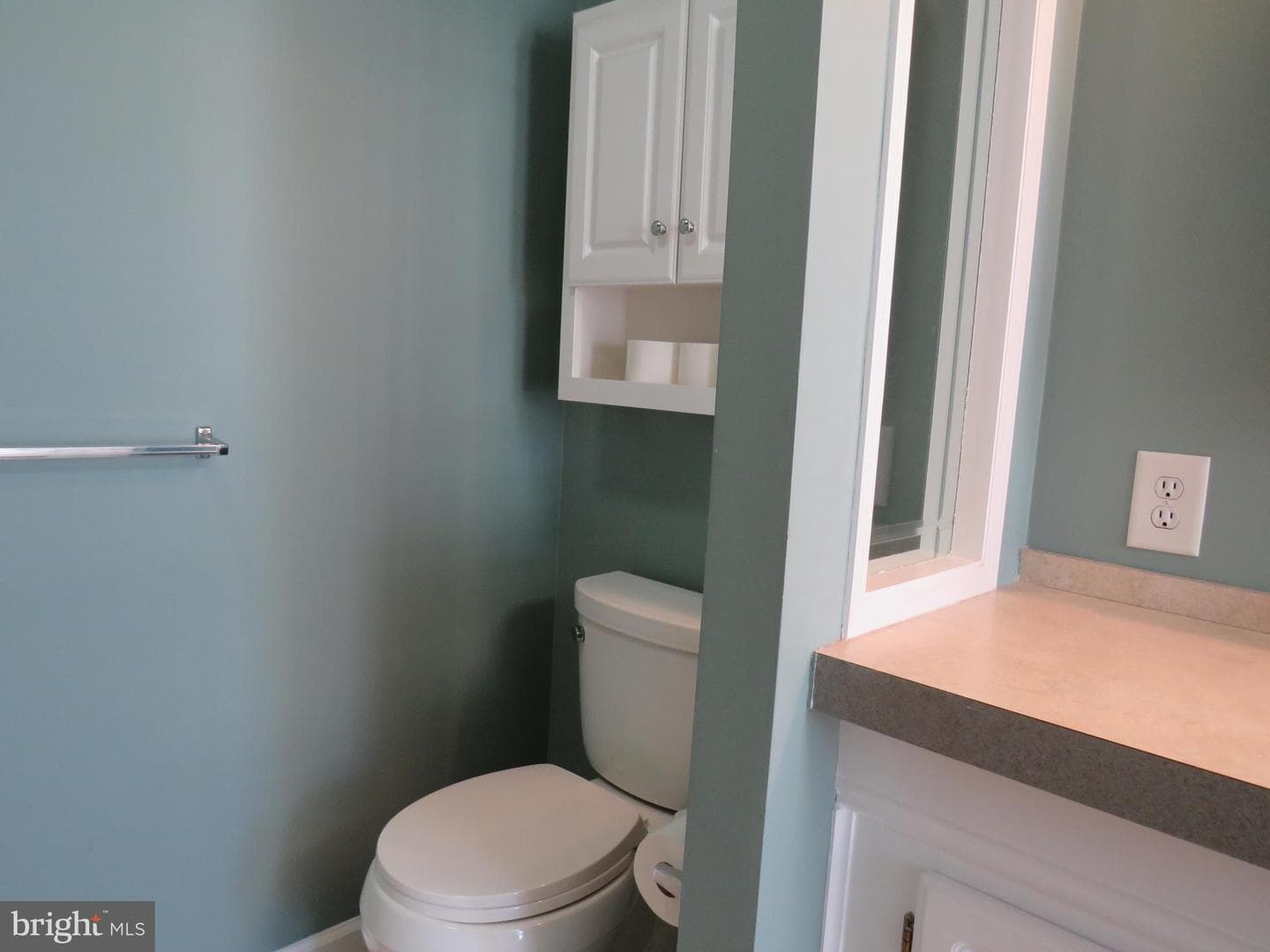638 Spicebush Court photo 38