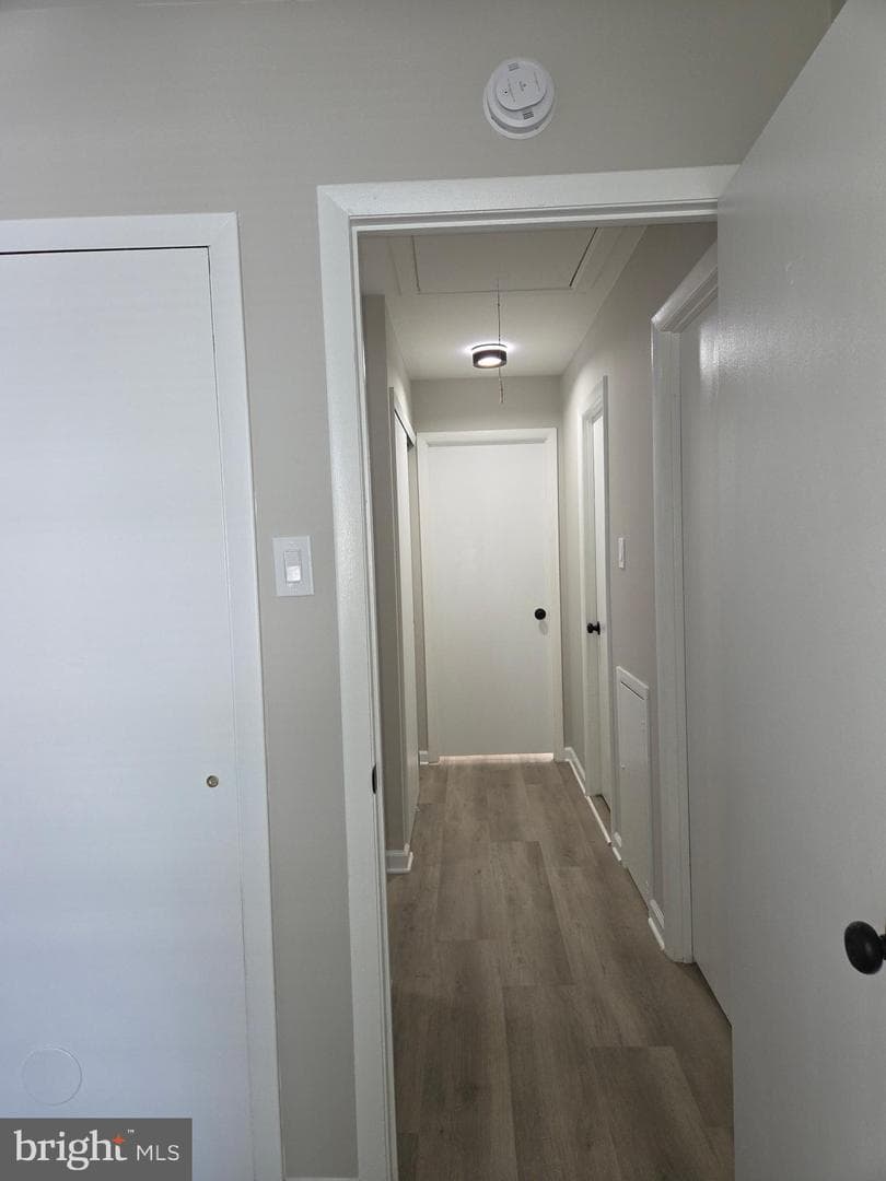 5063 Sayer Court photo 39