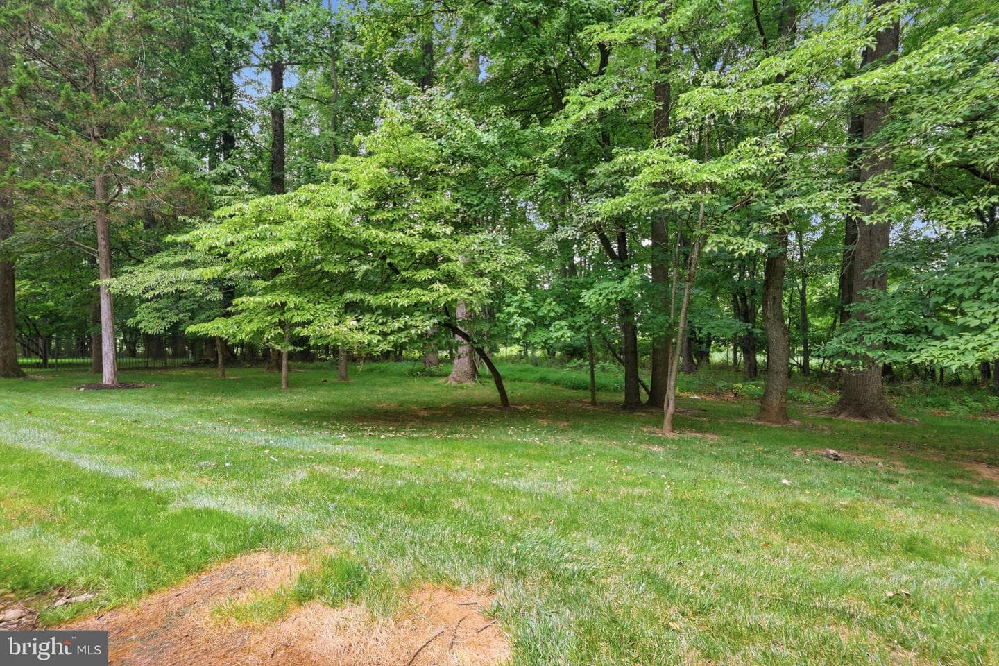 4064 Charter Club Drive photo 37