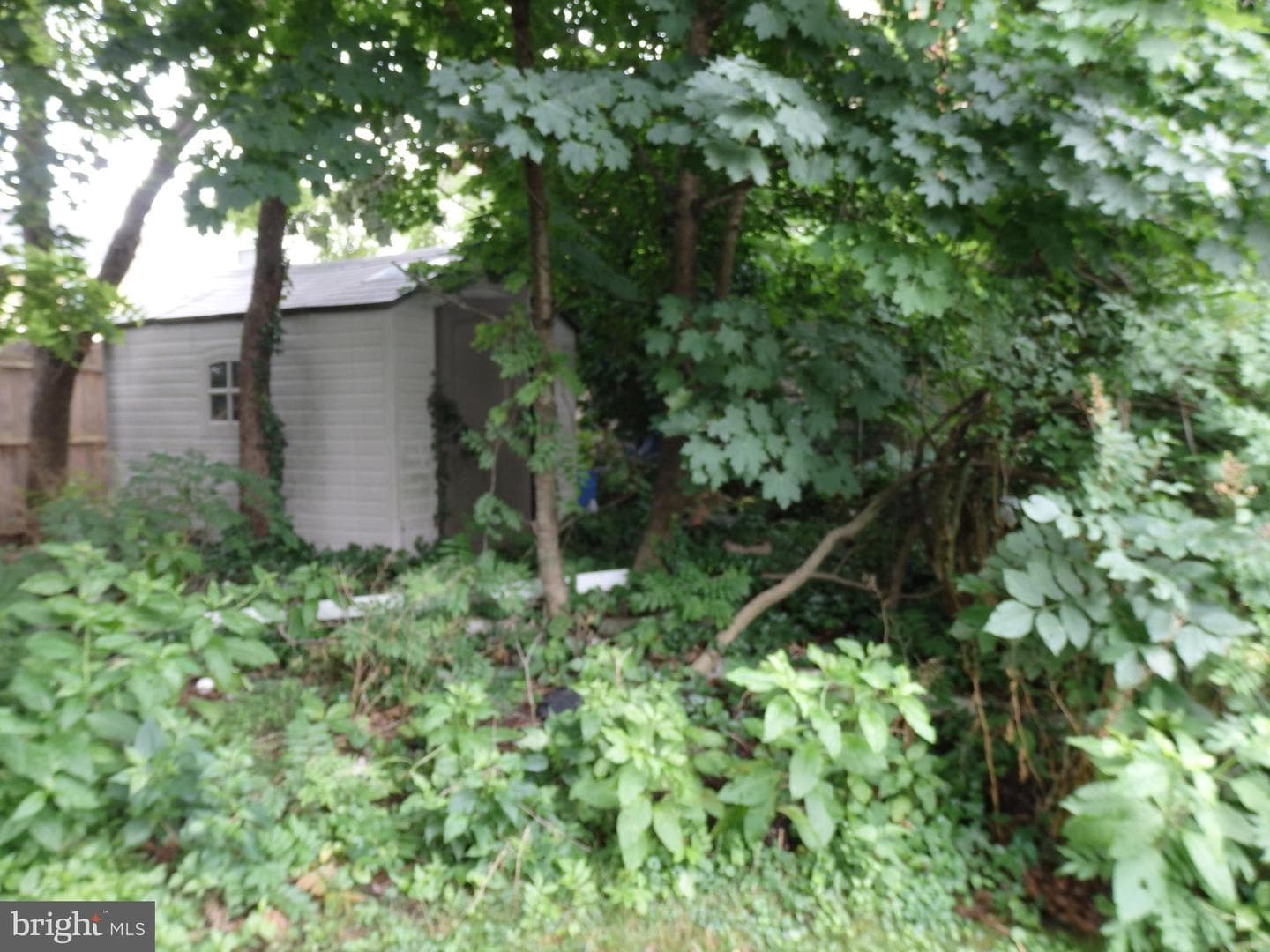 21 S 9th Street photo 8