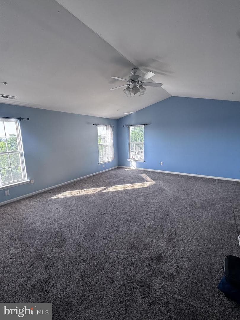 407 Winding Lane photo 19