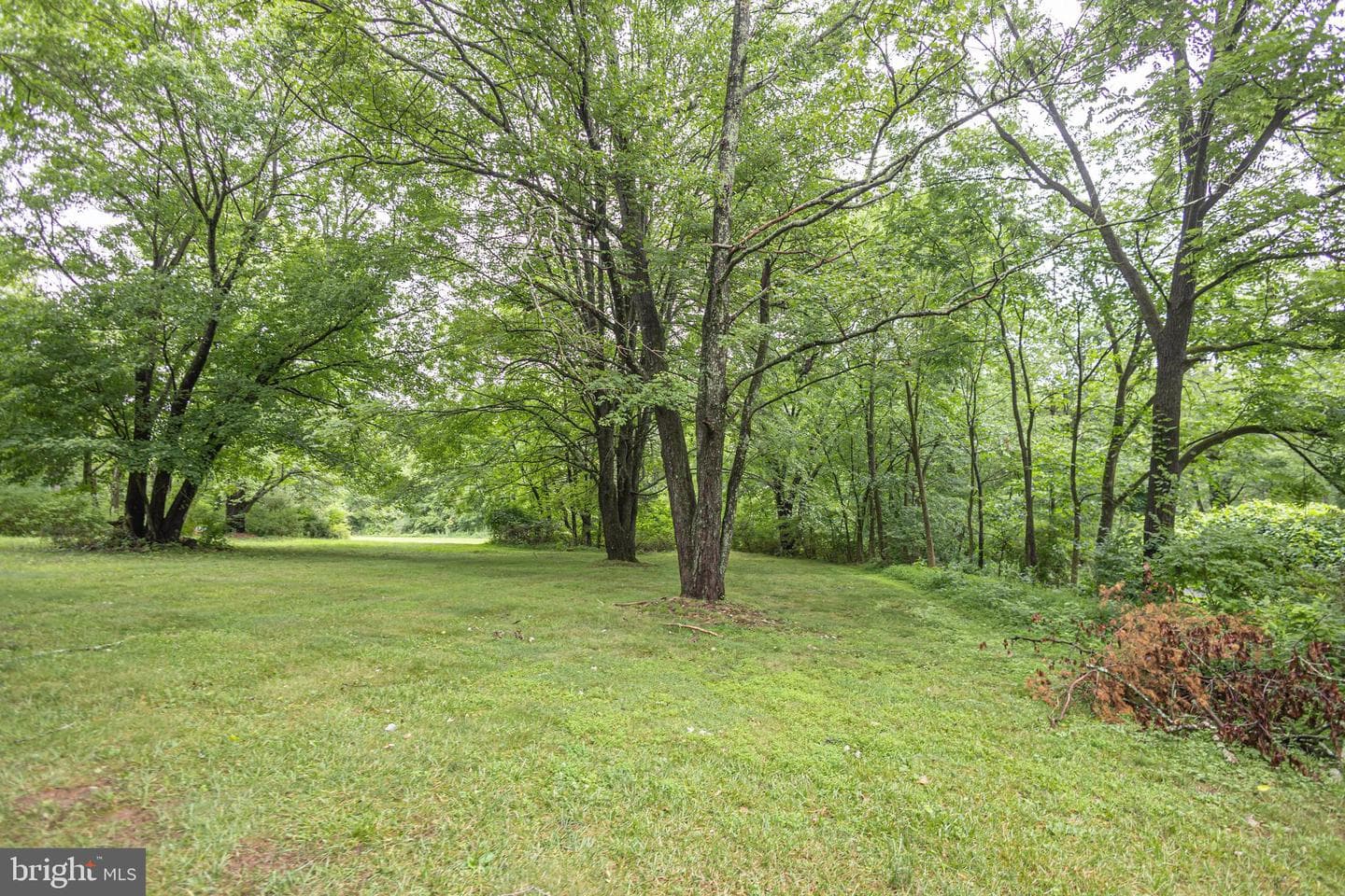 327 Thistle Lane photo 45