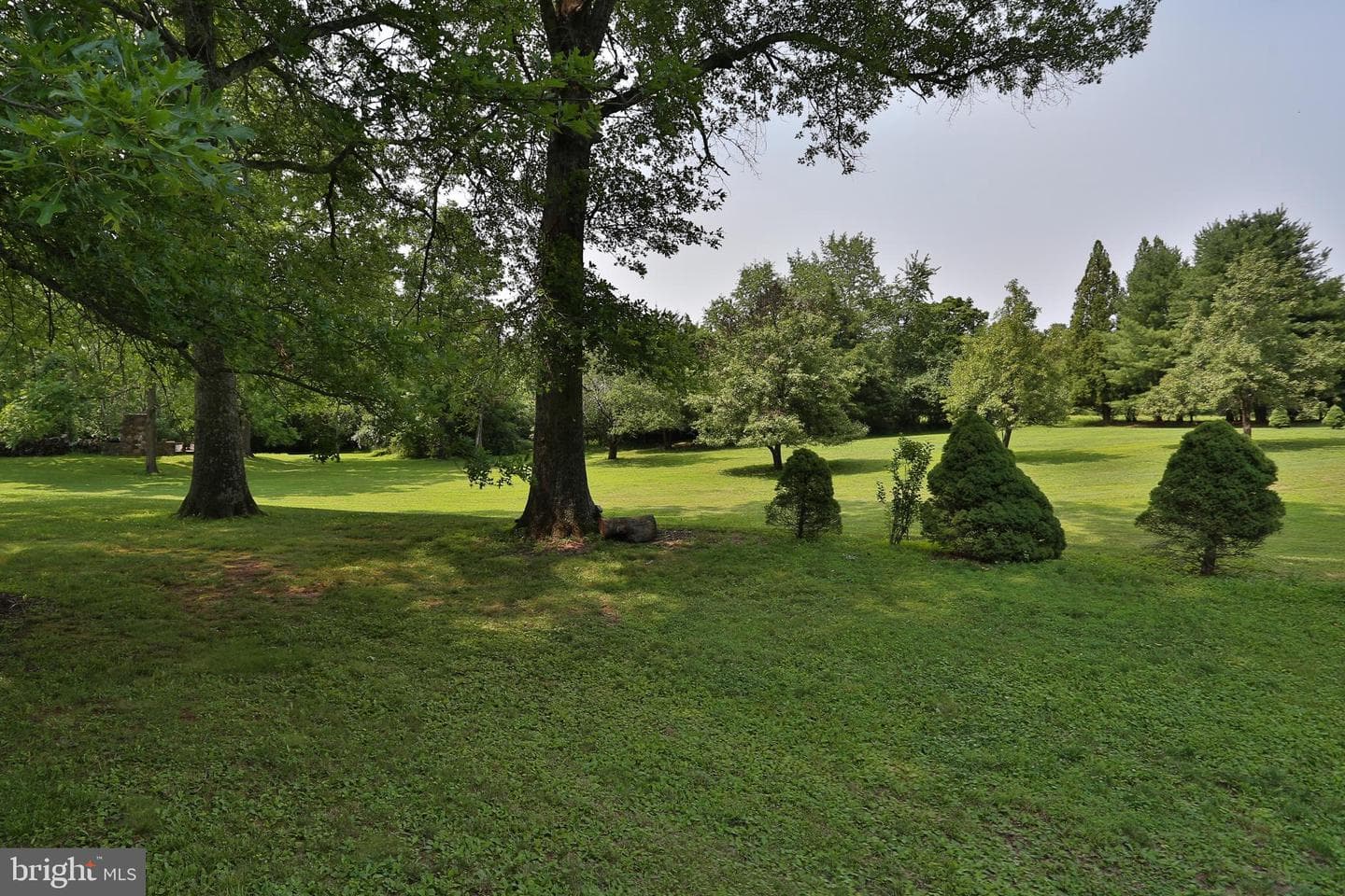 5792 Carversville Road photo 102