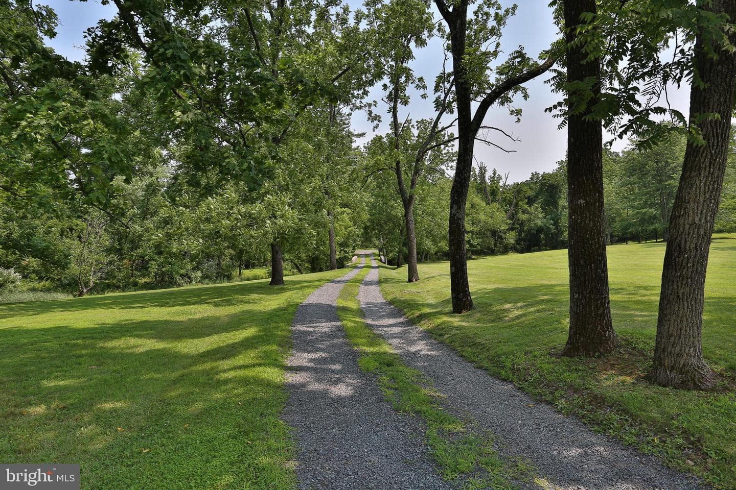 5792 Carversville Road photo 105