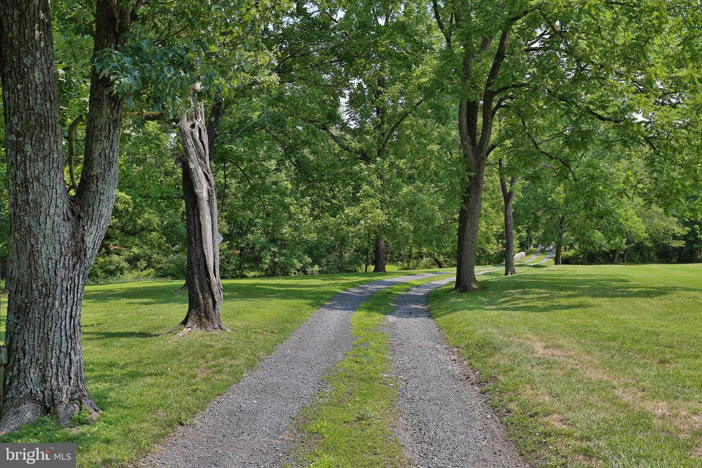 5792 Carversville Road photo 106
