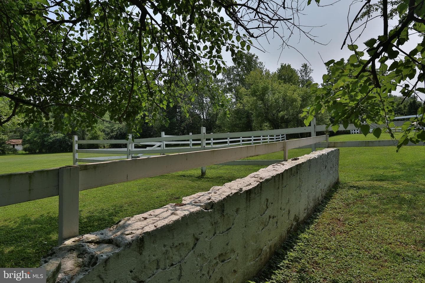 5792 Carversville Road photo 89