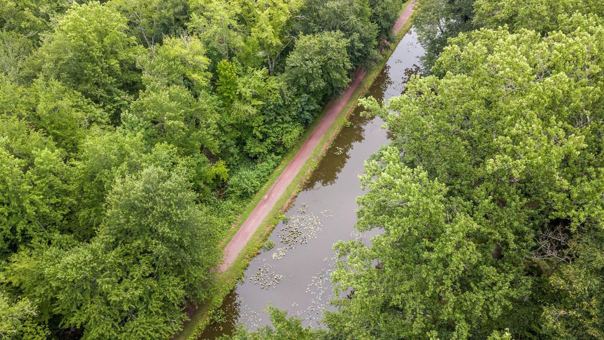 24 Springtree Lane photo 80