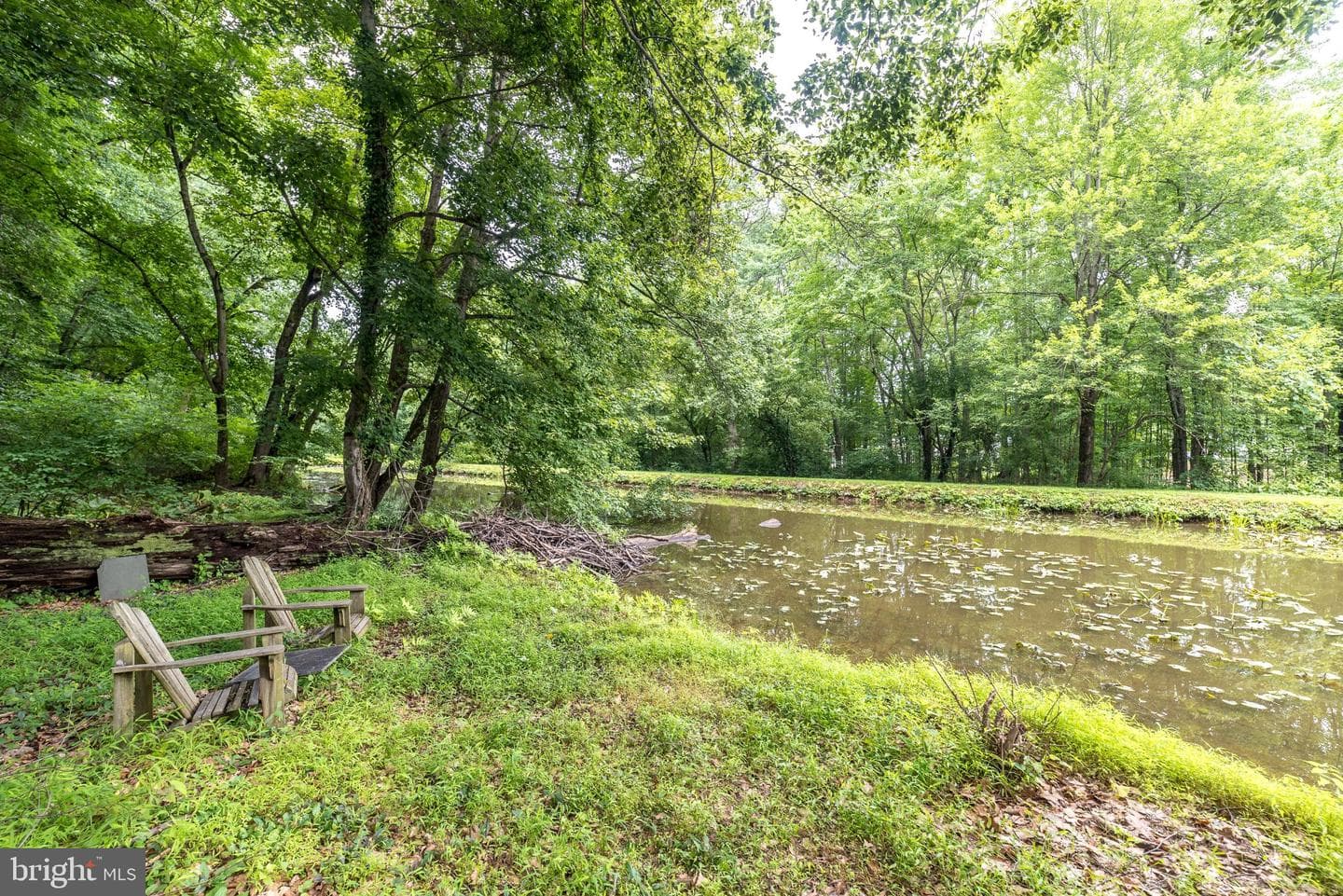 24 Springtree Lane photo 82