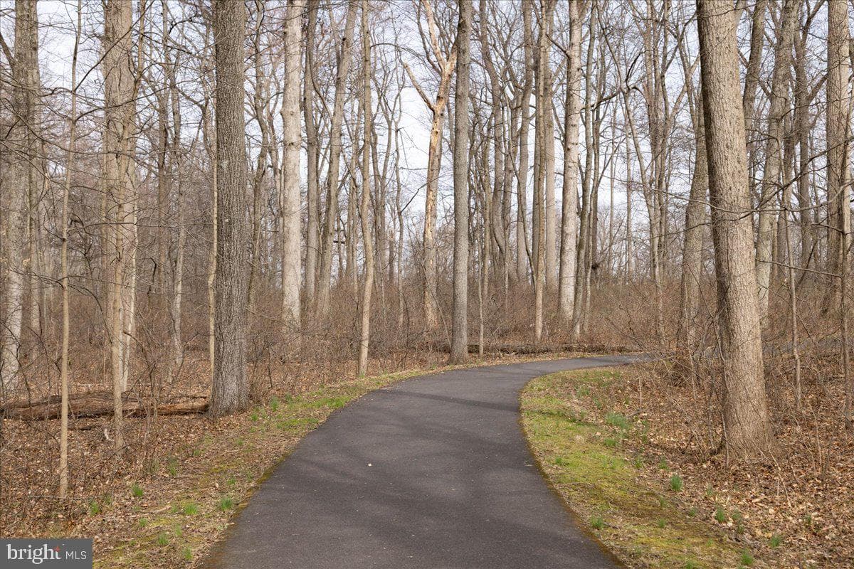 9 Brookdale Drive photo 36