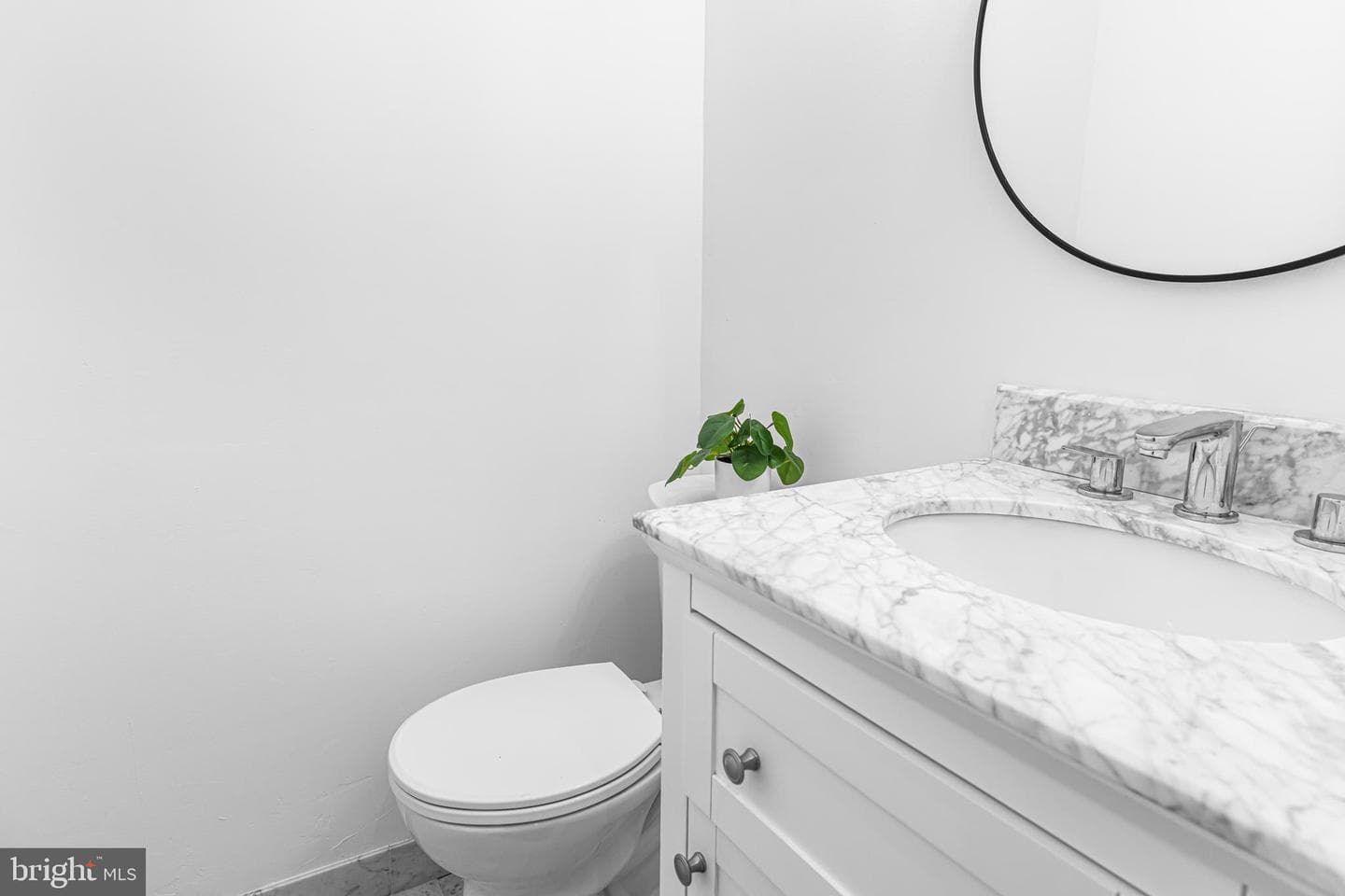 14 Brighton Place photo 8