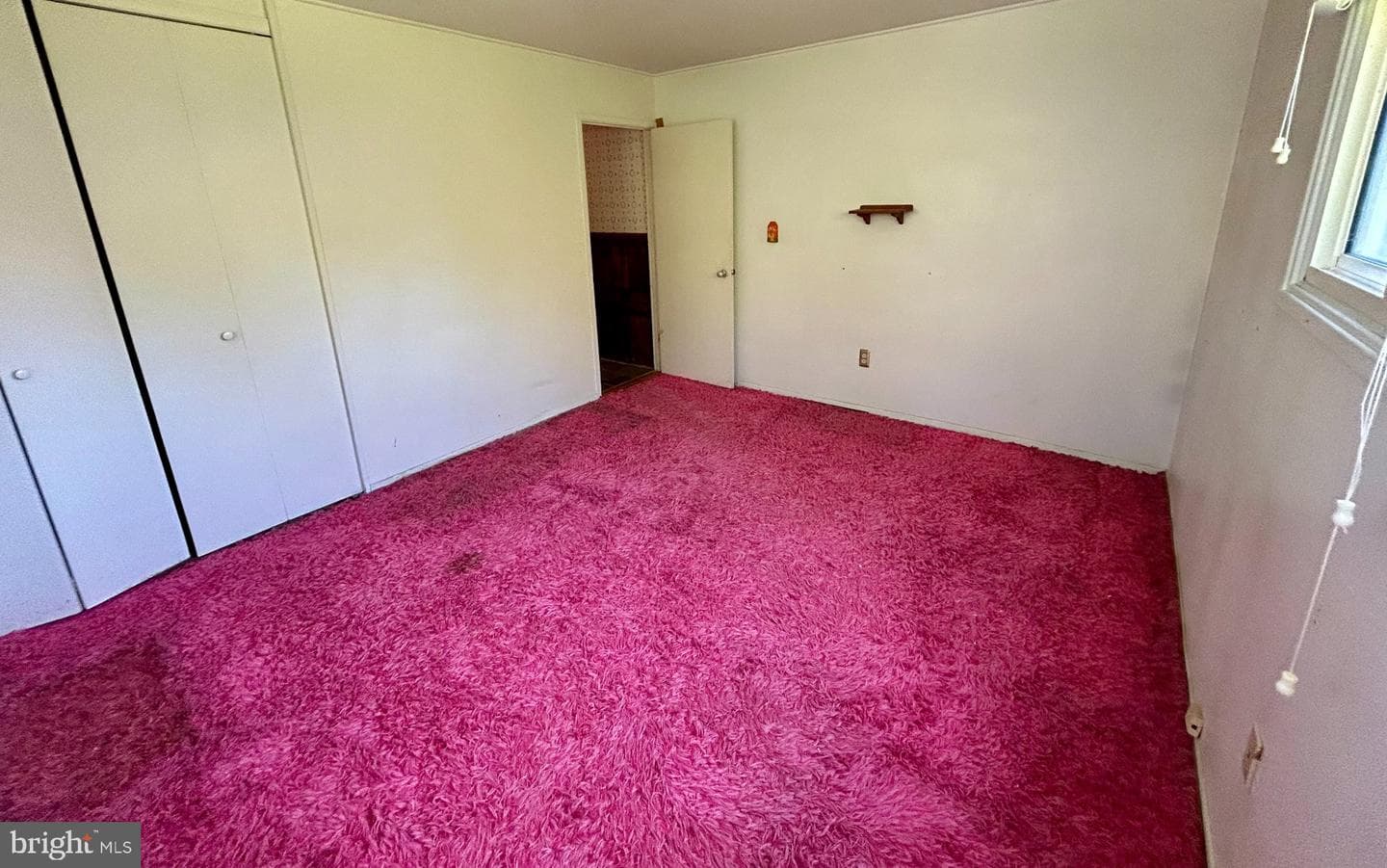 43 Falcon Road photo 13