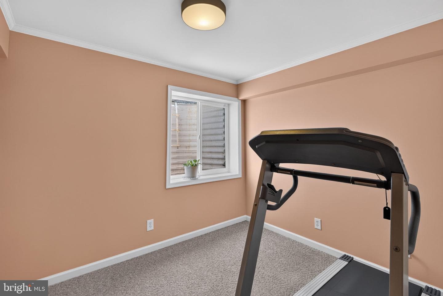 57 Williams Drive photo 26