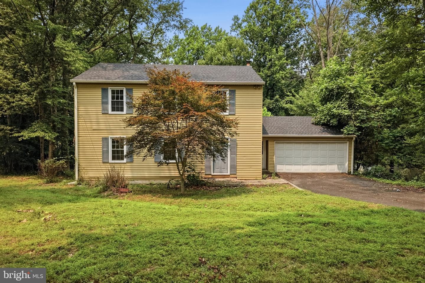42 Springs Drive photo 3