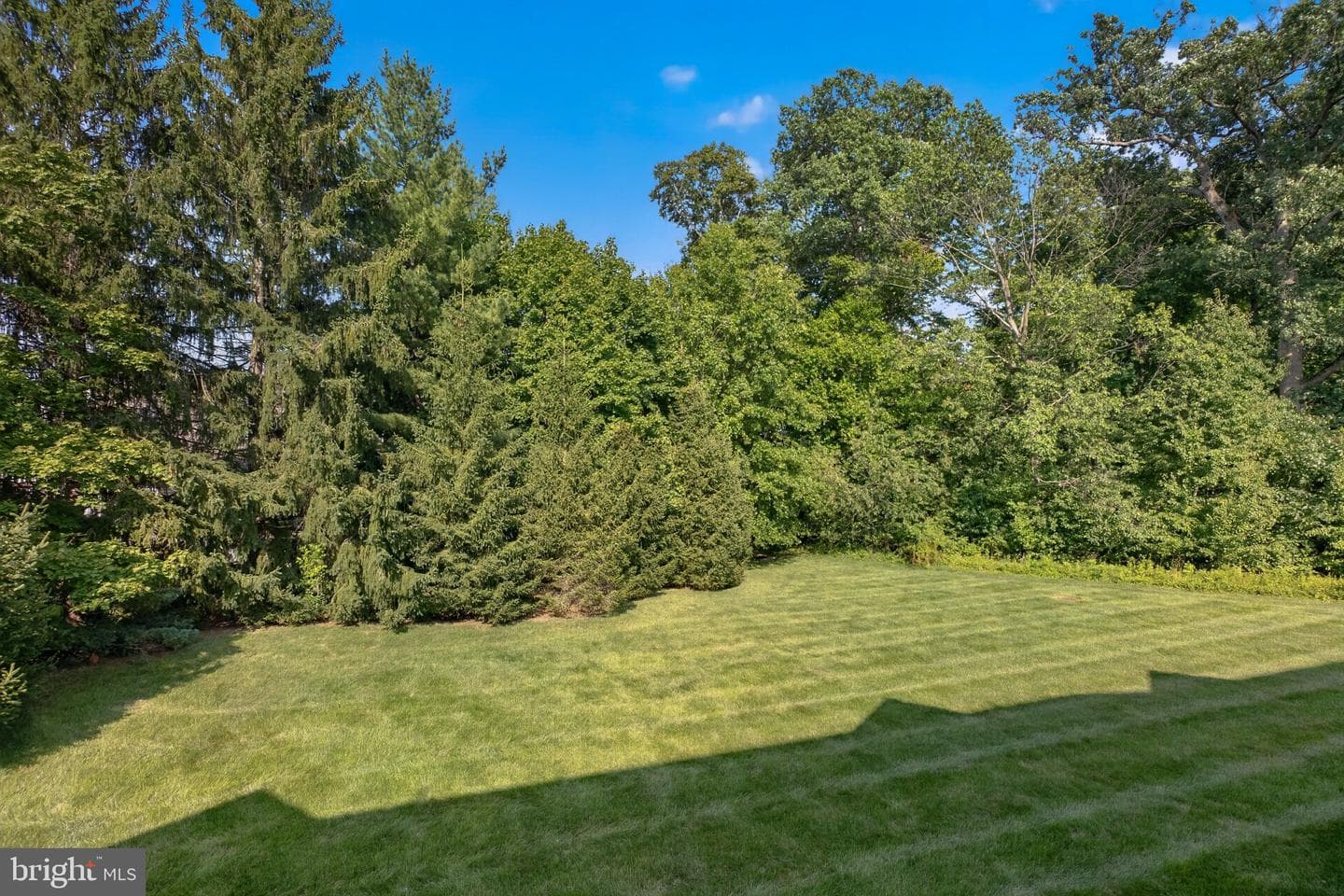 417 Oxford Lane photo 43