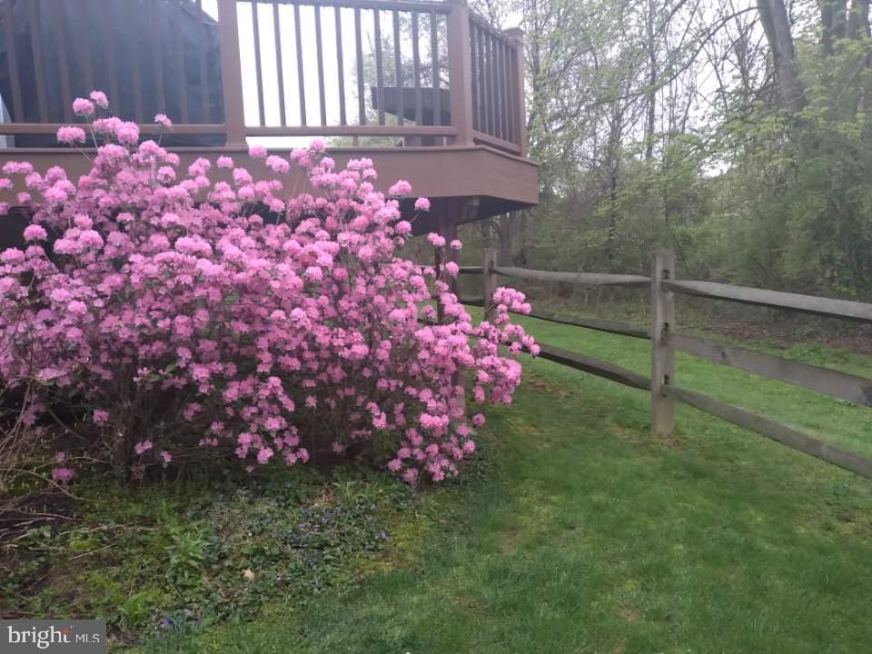 15 Avalon Court photo 33