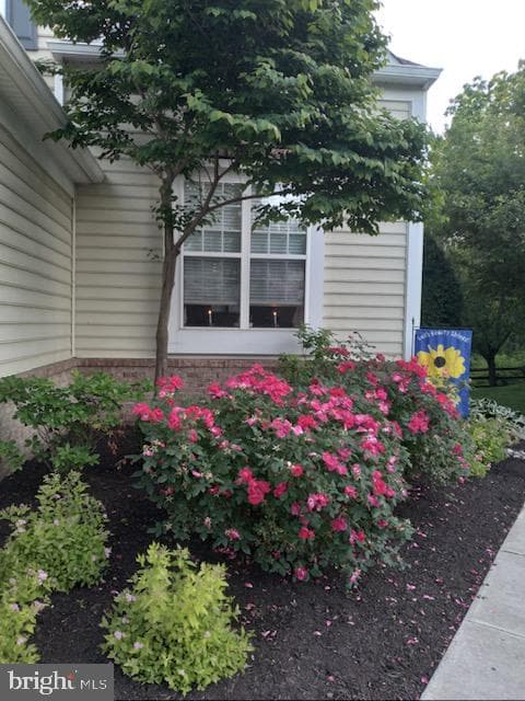 15 Avalon Court photo 35