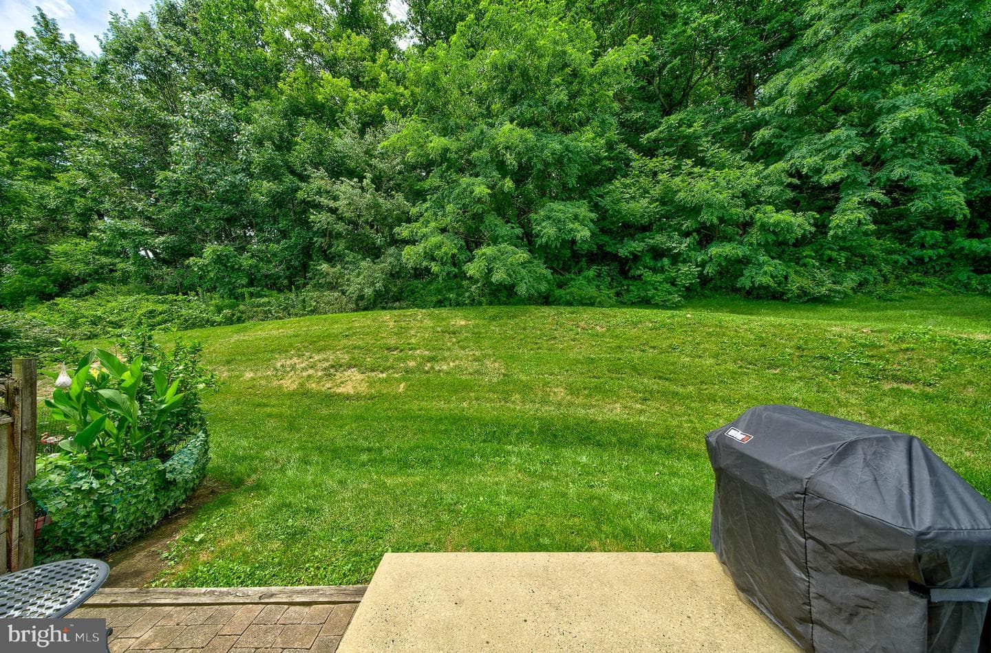 4582 Louise Saint Claire Drive photo 41