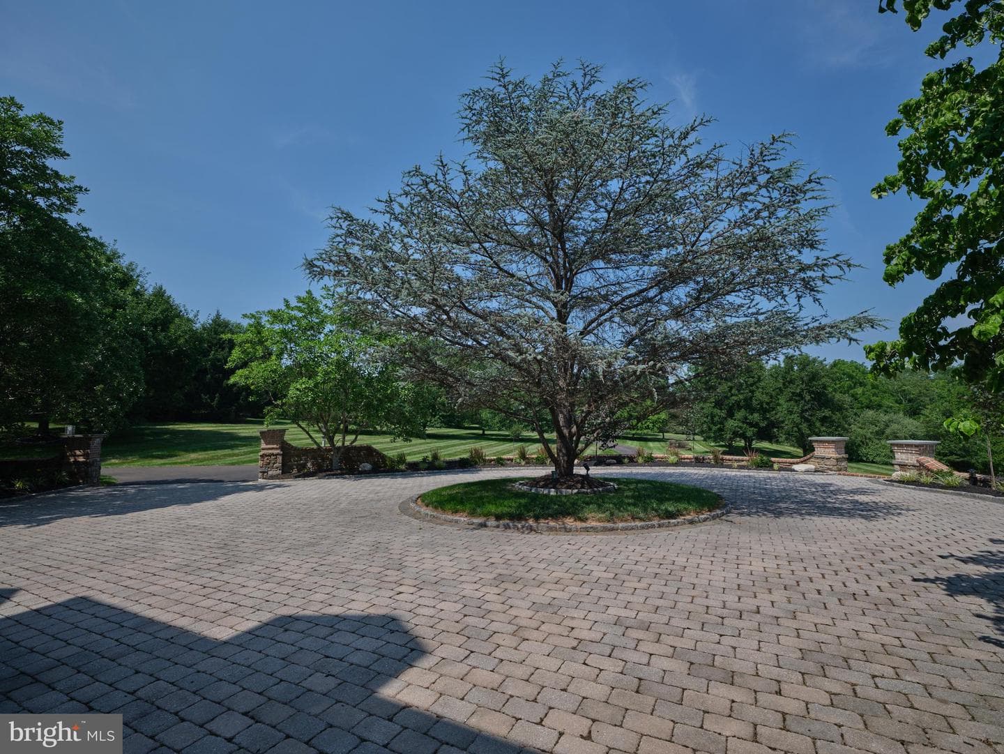 6020 Atkinson Road photo 7