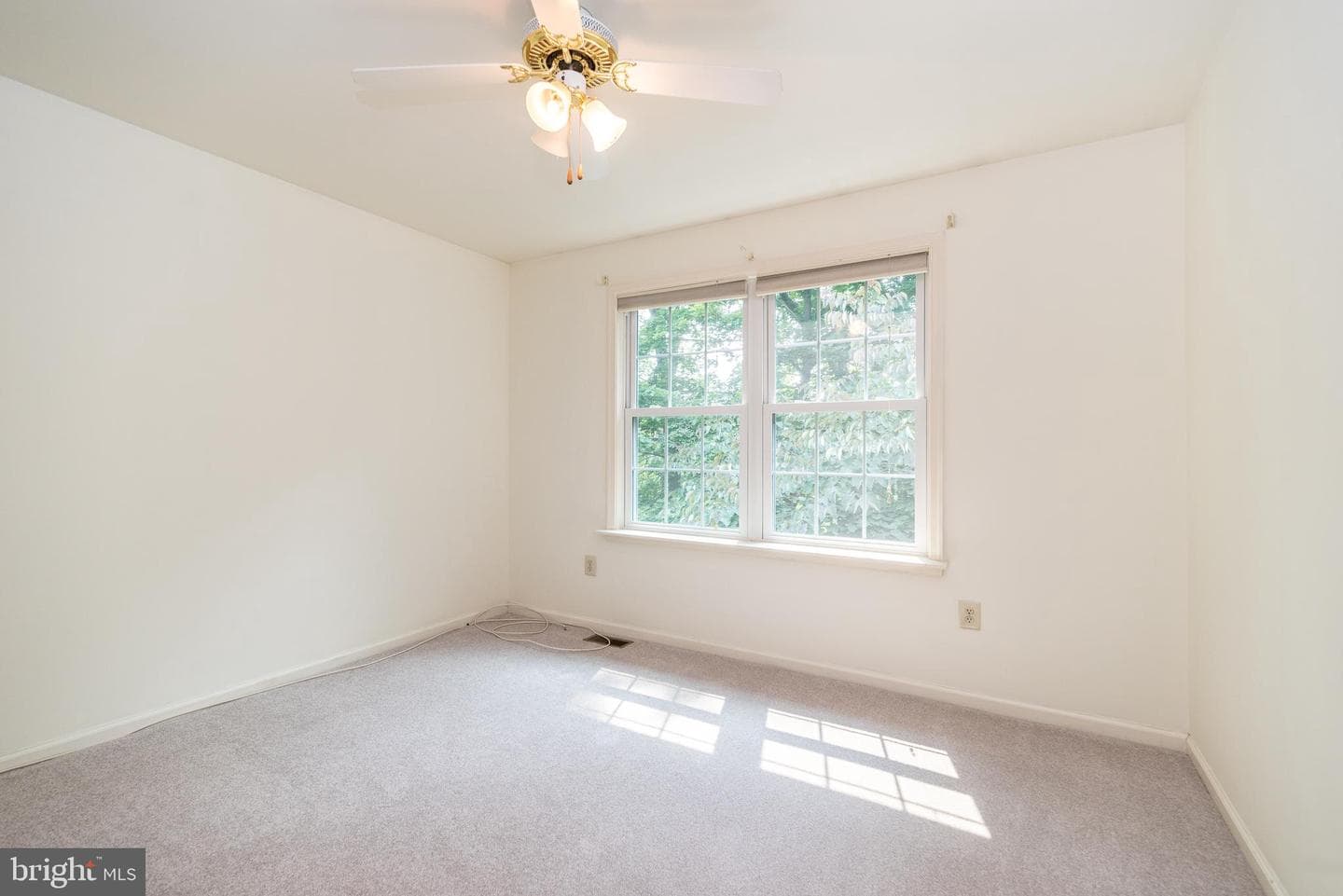 100 Live Oak Drive photo 38