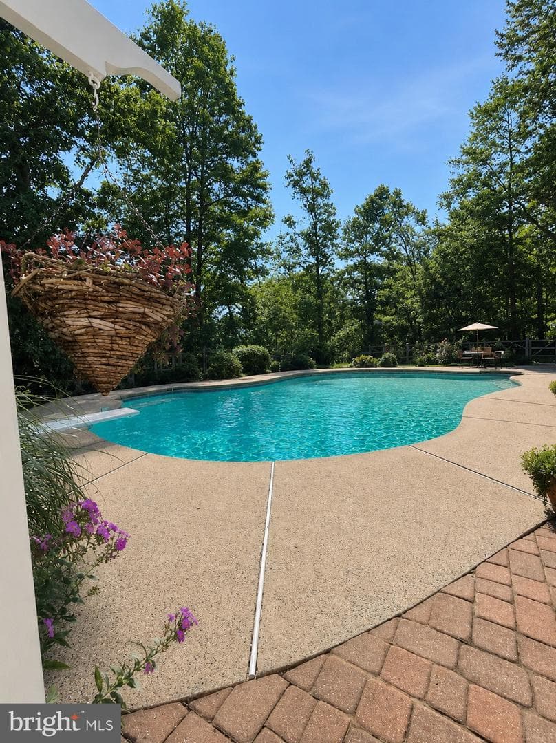 2610 Red Gate Drive photo 4