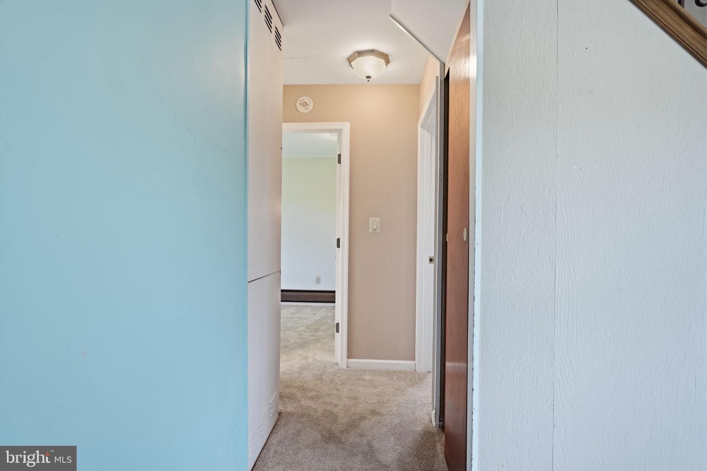 37 Trellis Road photo 12