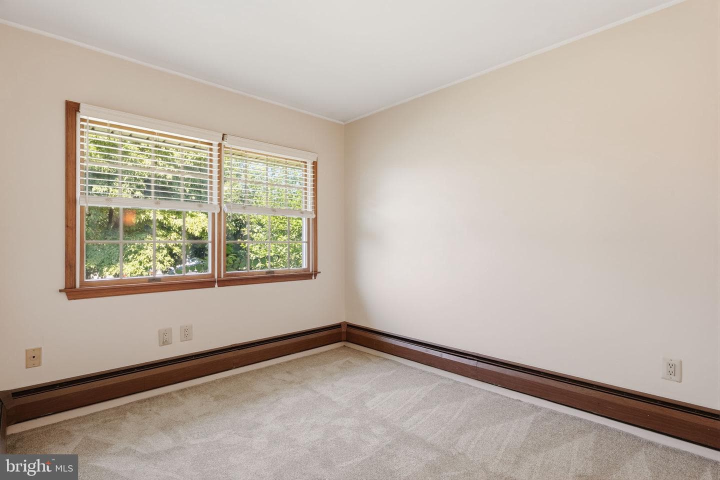 37 Trellis Road photo 15