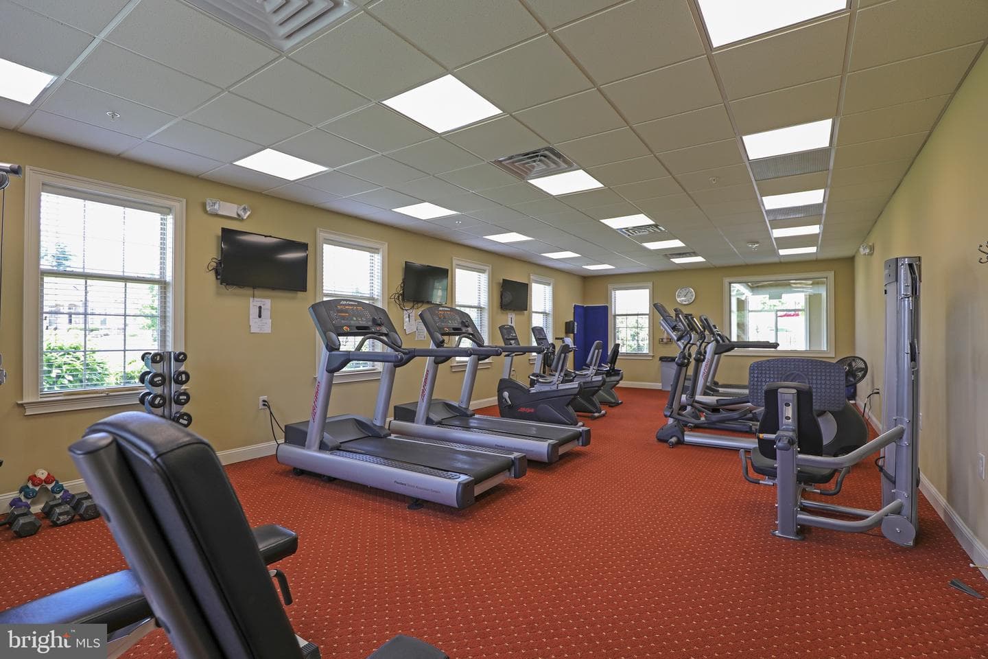 216 Willow Drive photo 9