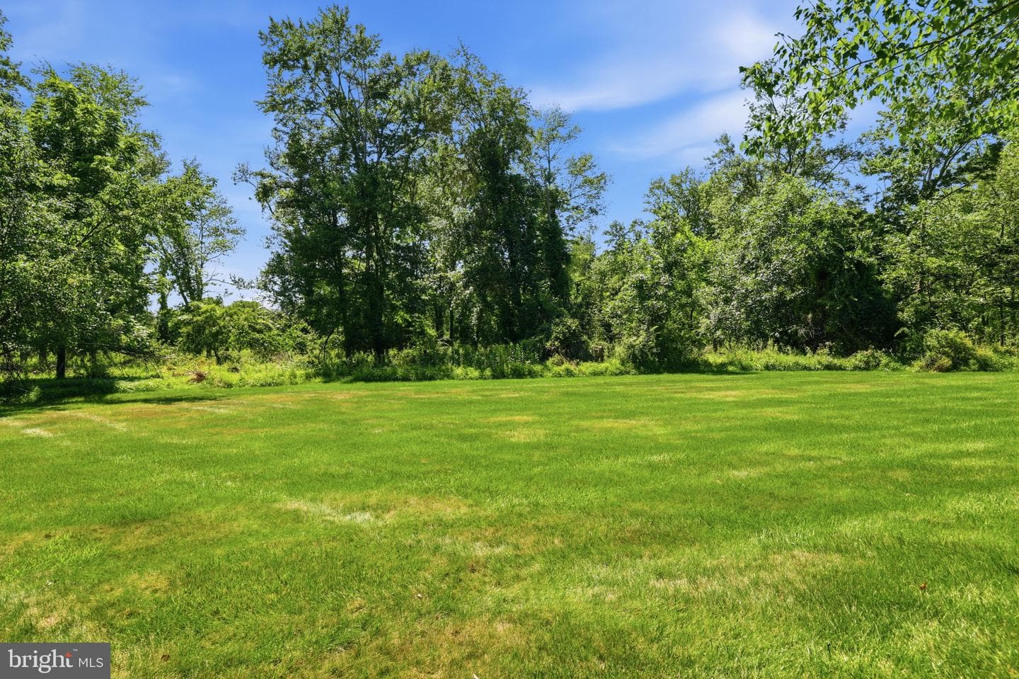 1503 Brookfield Road photo 57