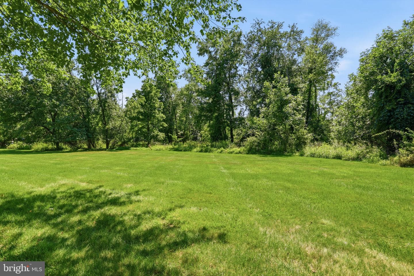 1503 Brookfield Road photo 58