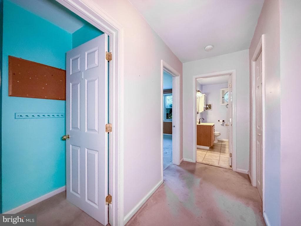 79 Charlotte Avenue photo 18