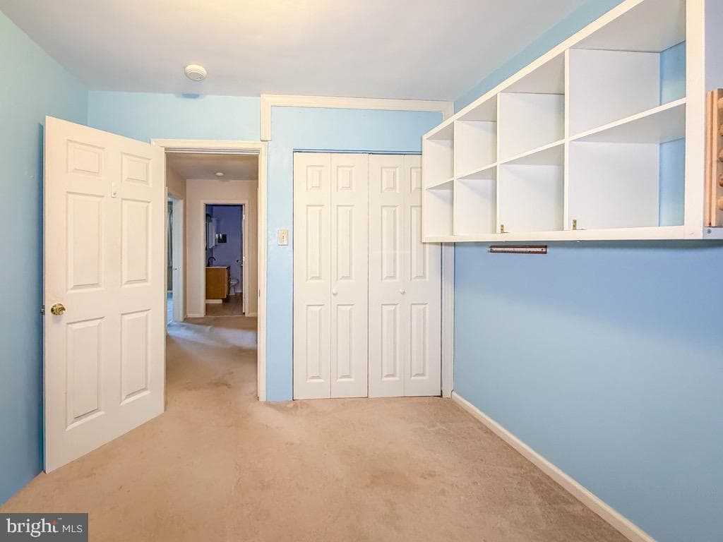 79 Charlotte Avenue photo 22