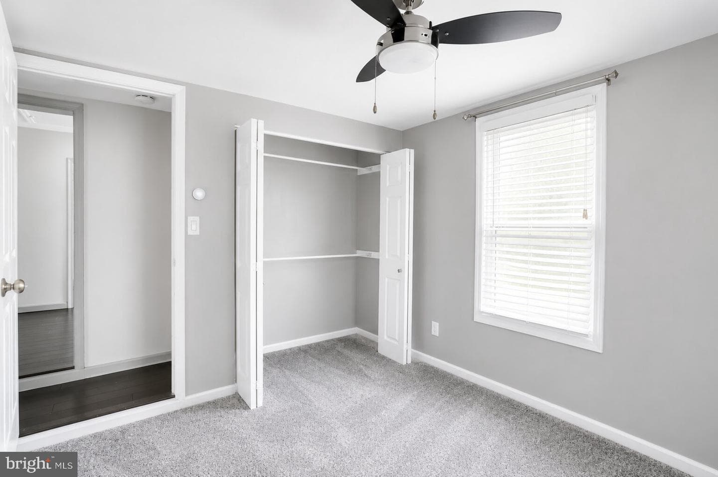 834 Linton Avenue photo 37