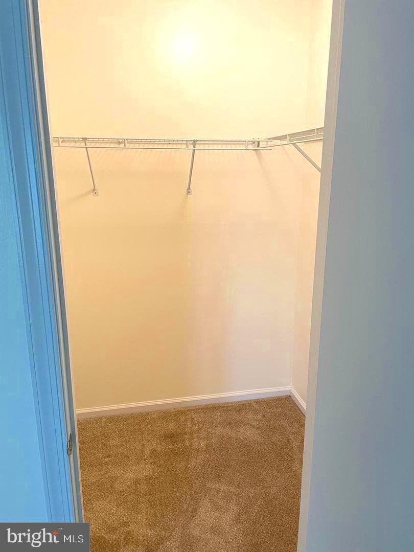 92 Catherine Court photo 17