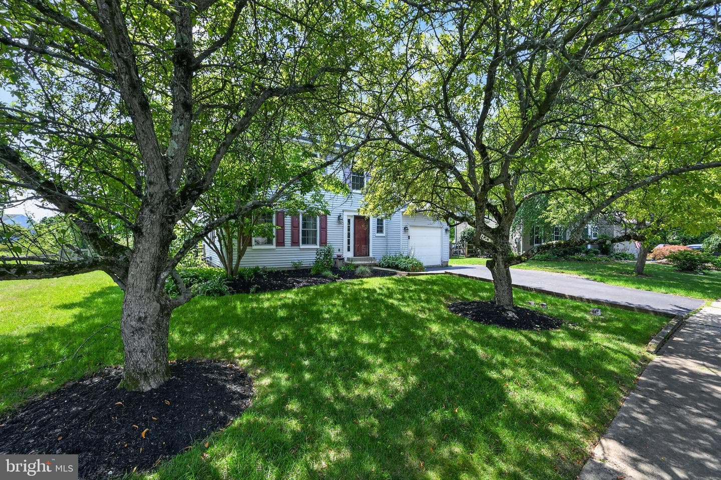 1620 Salem Lane photo 3