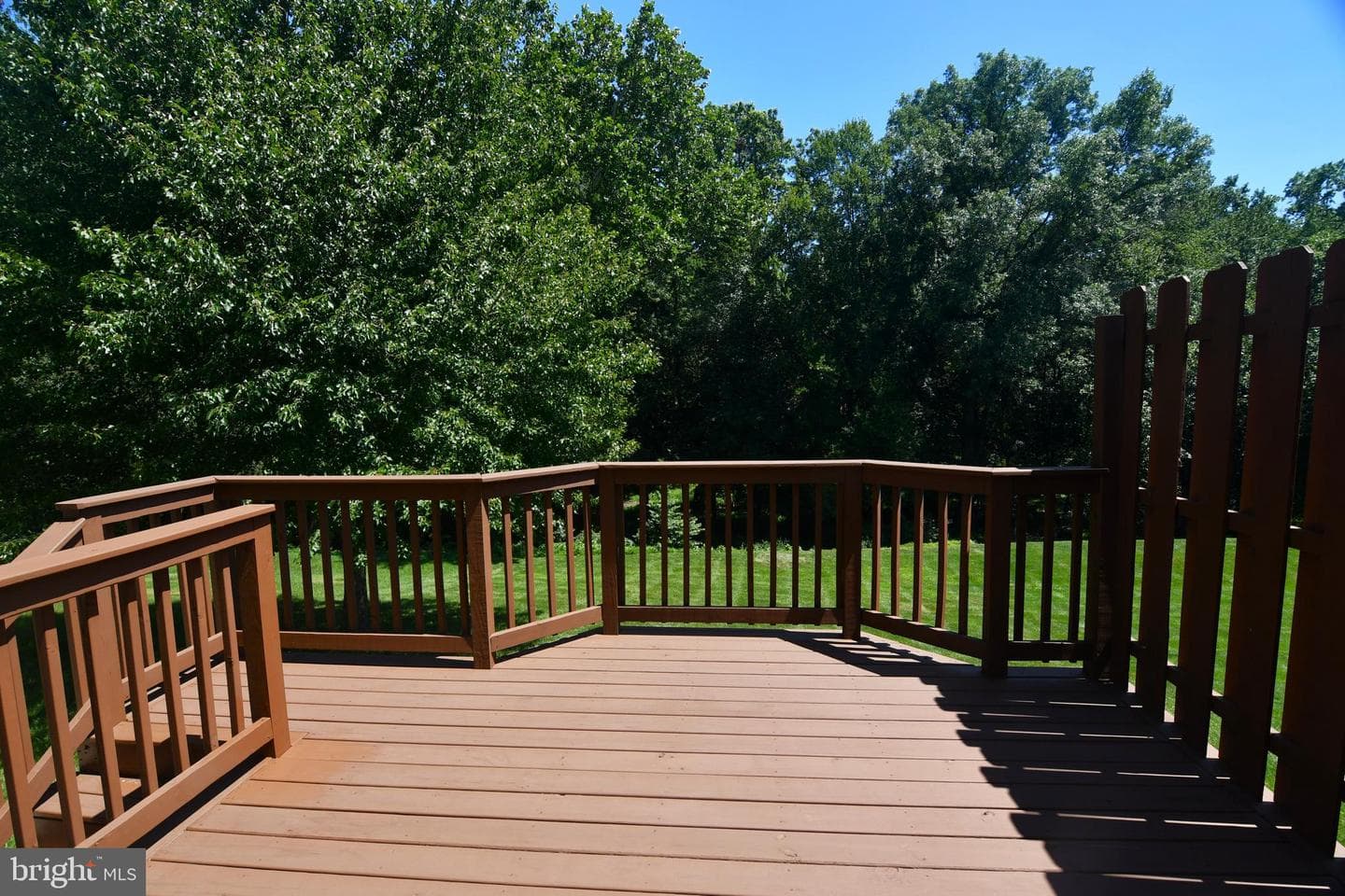 230 Forest Park Drive photo 6