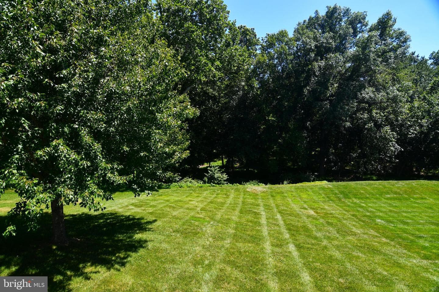 230 Forest Park Drive photo 9