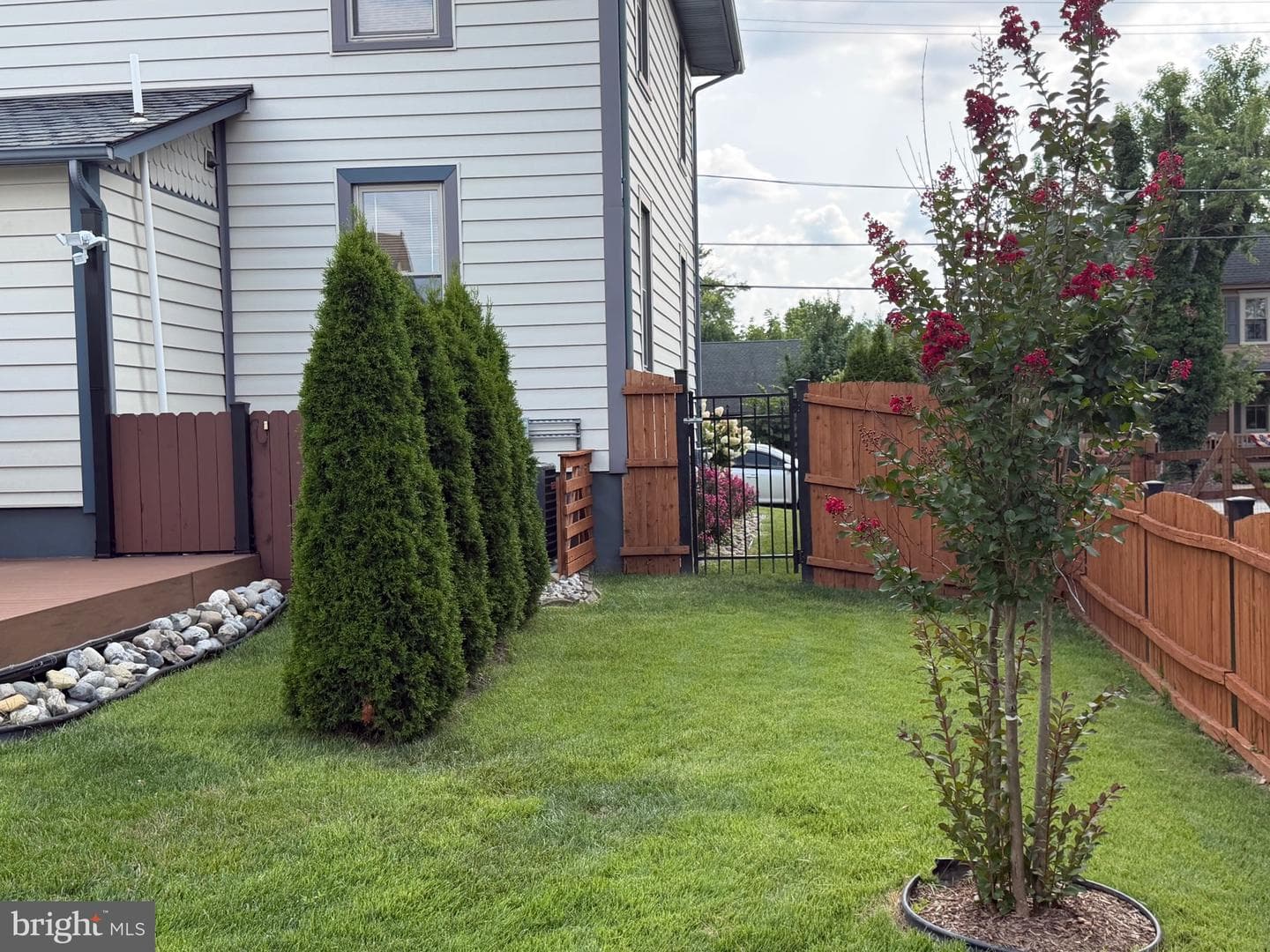 97 Wilson Avenue photo 9