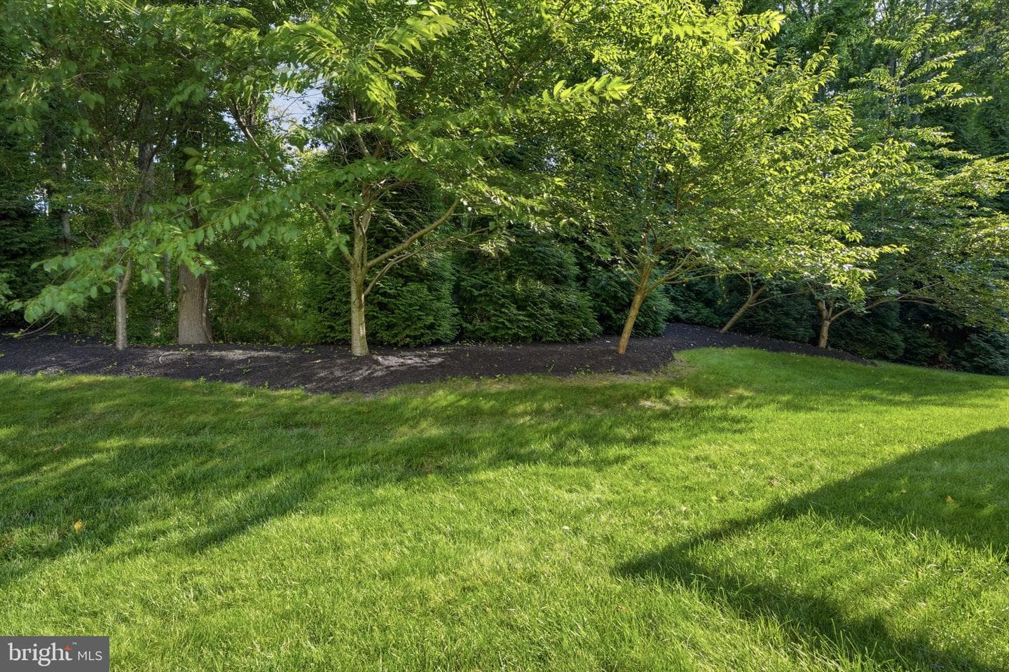 1573 Hickory Lane photo 10