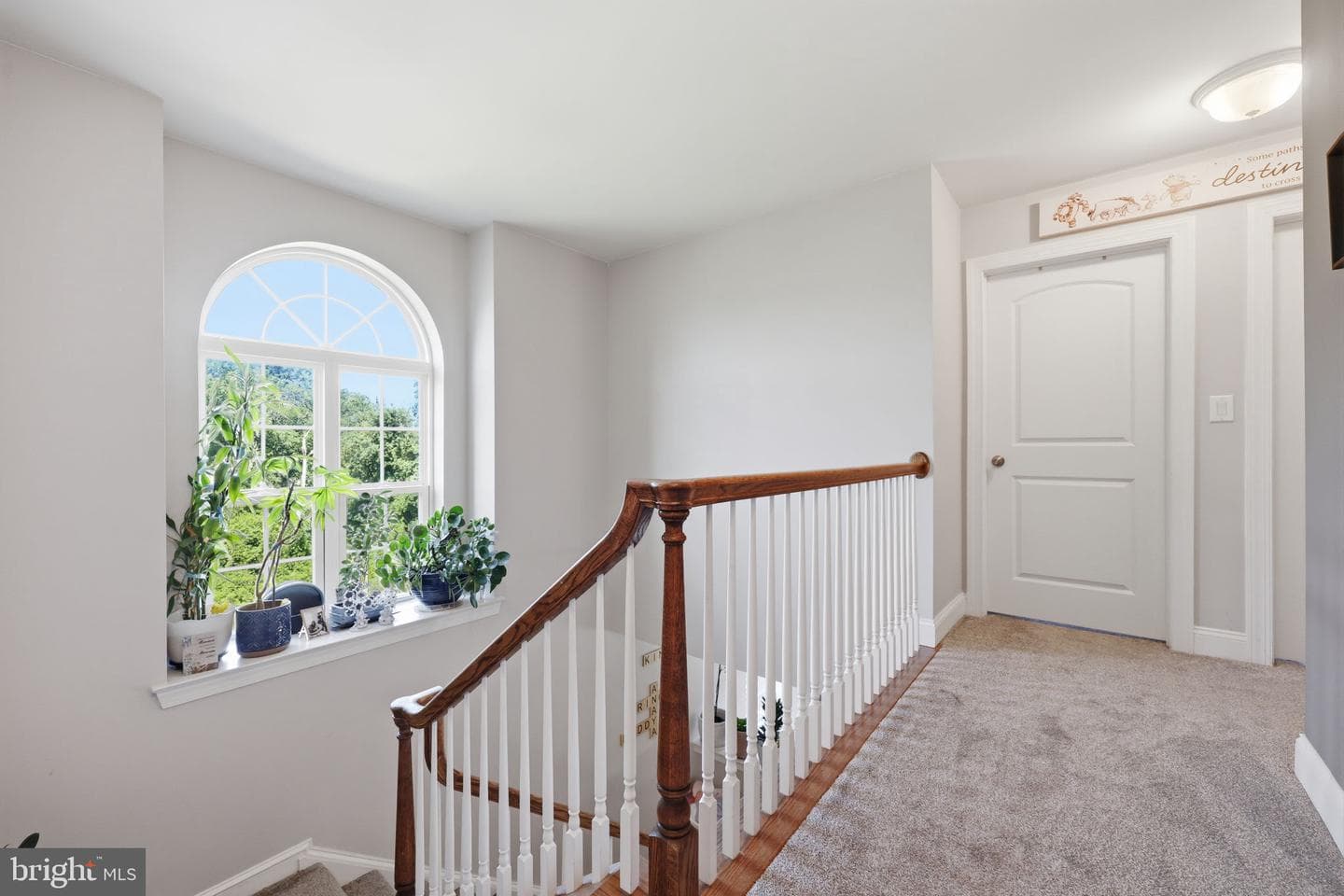 10 Richard Road photo 25