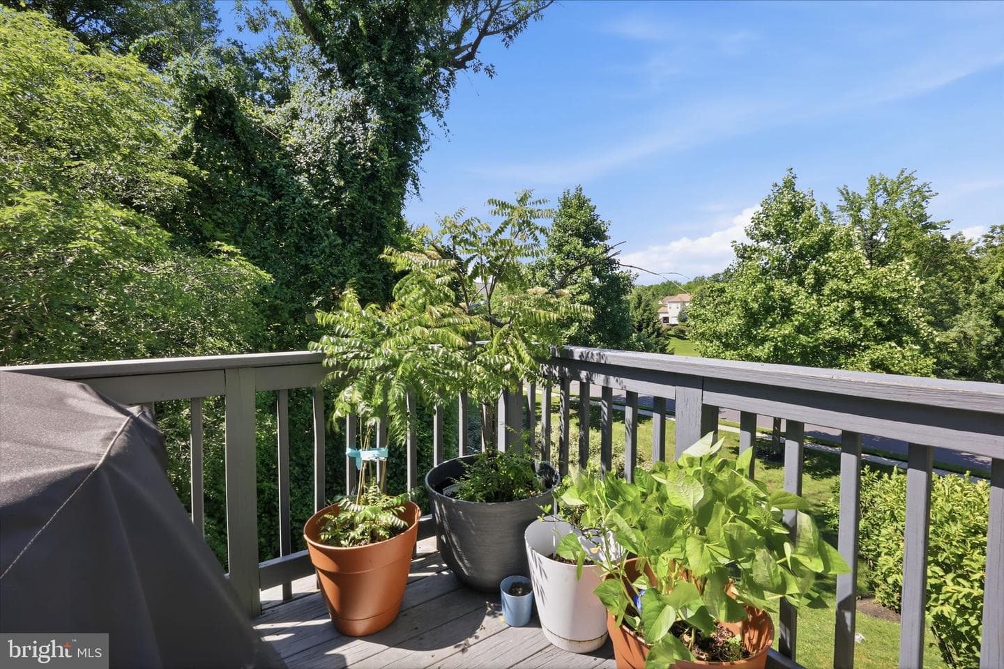 10 Richard Road photo 33