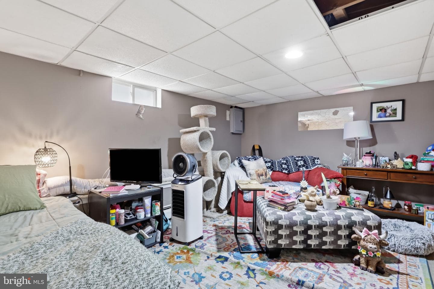 346 Taft Street photo 17