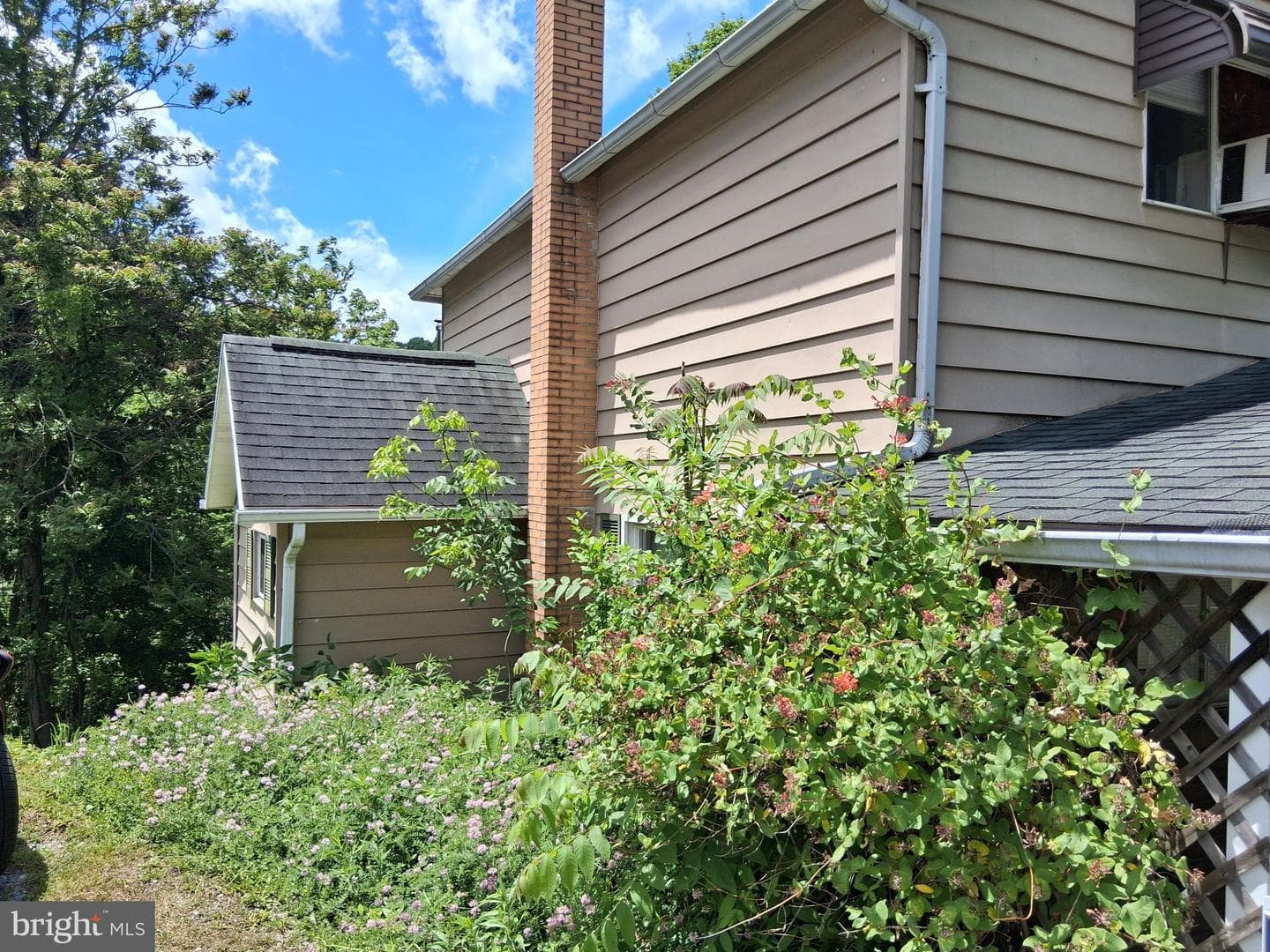265 View Street photo 8