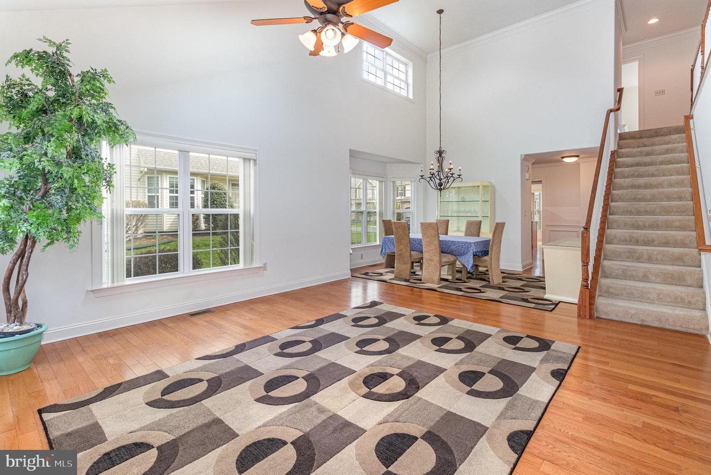 109 Pin Oak Court #5 photo 16