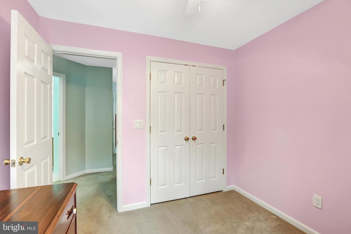 101 Partridge Circle photo 21
