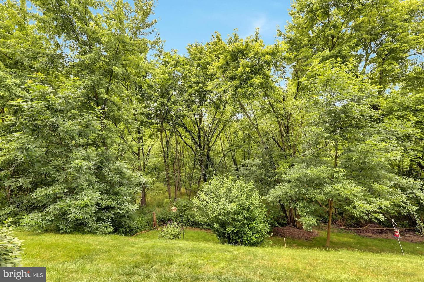 101 Partridge Circle photo 29