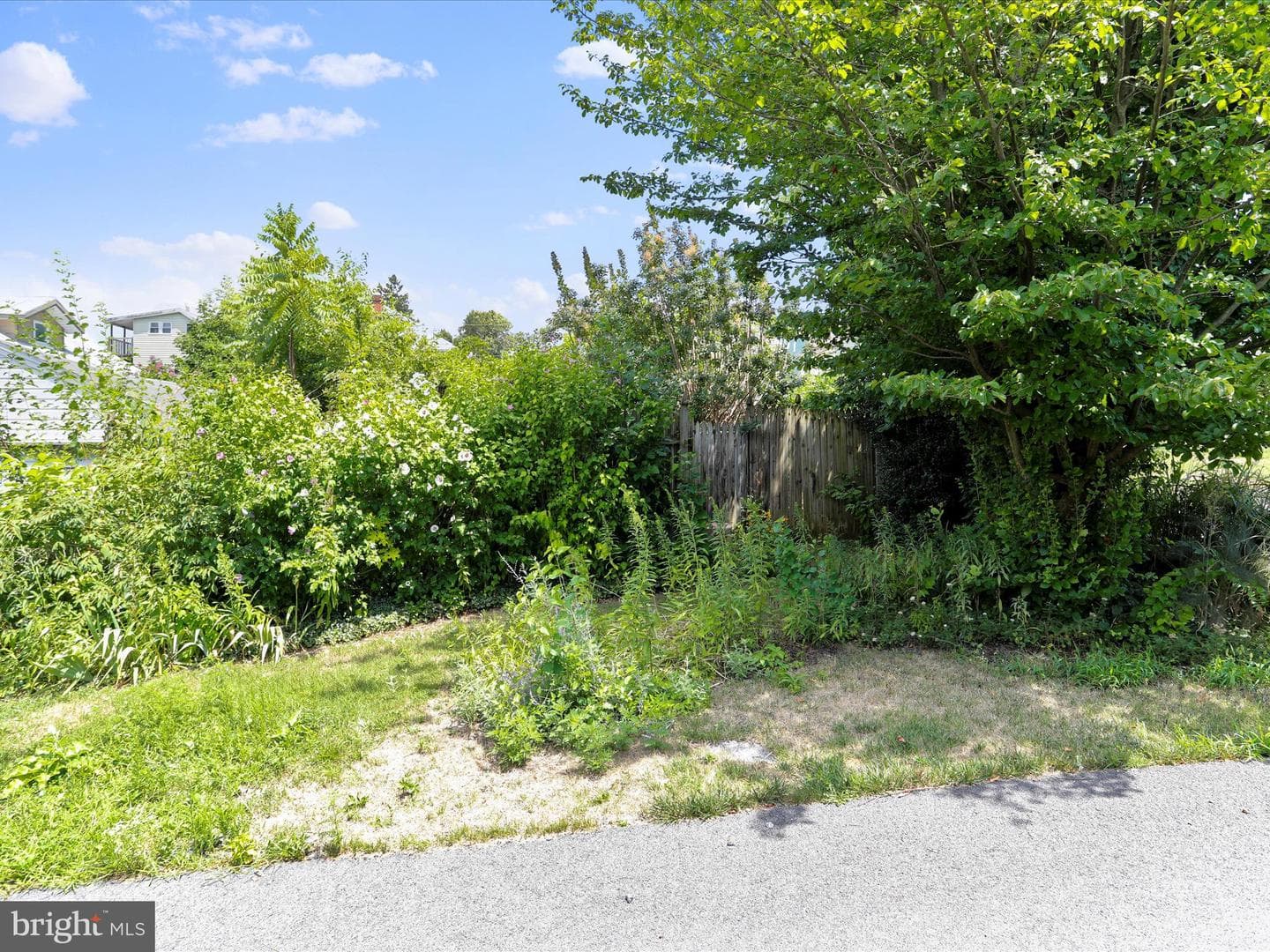 216 E Burd Street photo 23
