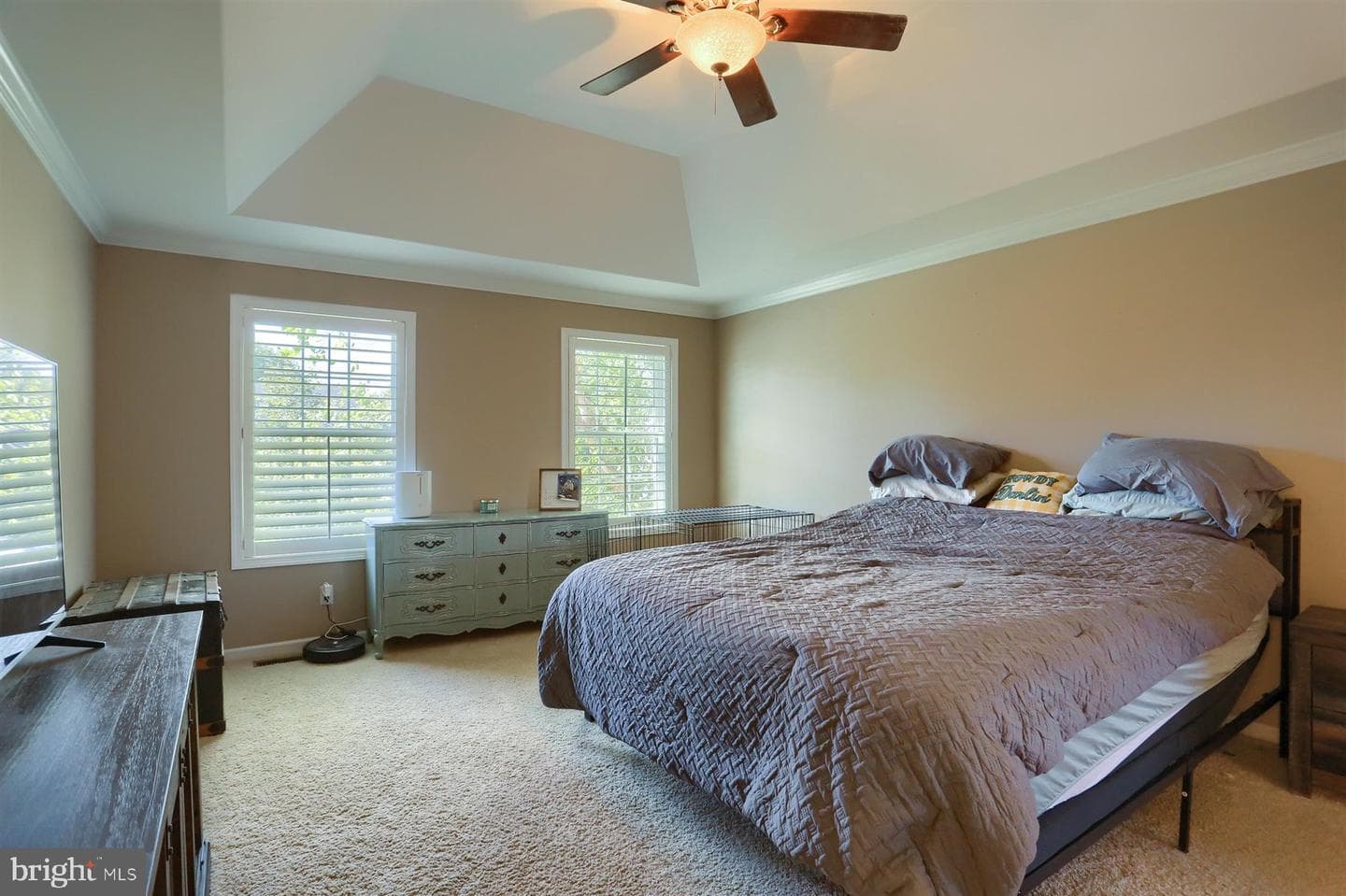 26 Balfour Drive photo 21
