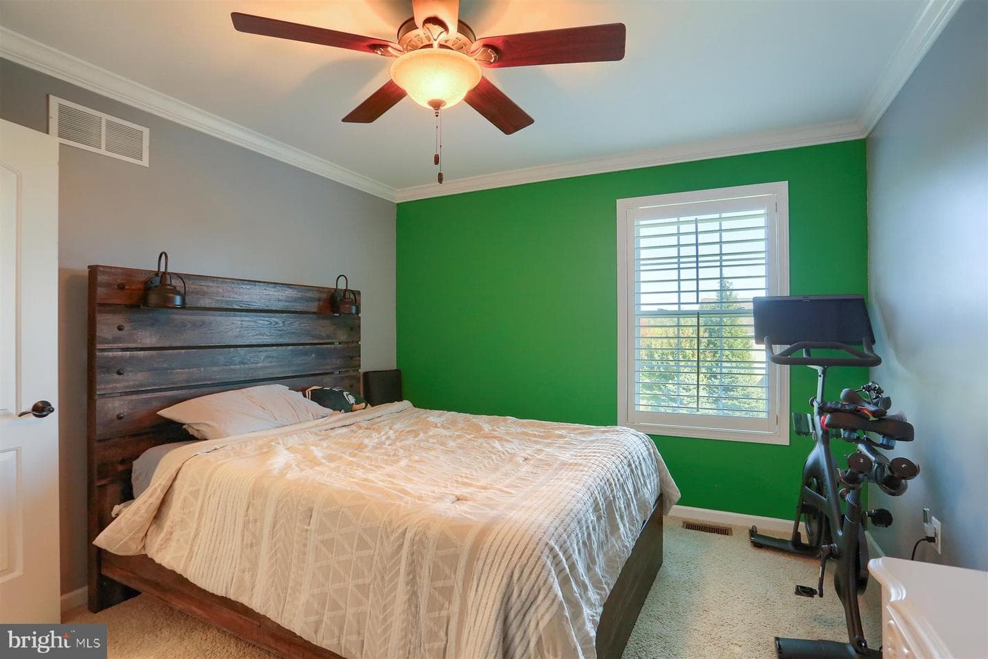 26 Balfour Drive photo 29