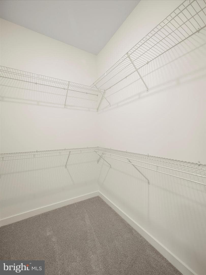 142 Blackbird Lane photo 25