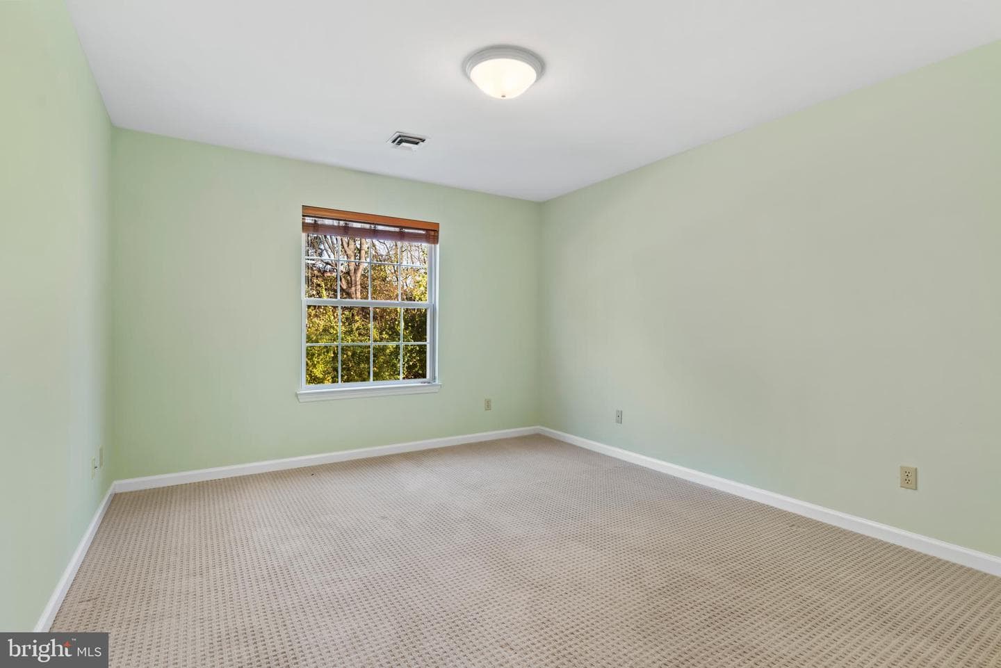 7 Windcroft Court photo 18